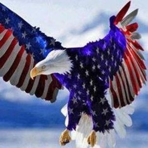 Meet your Posher, Bob